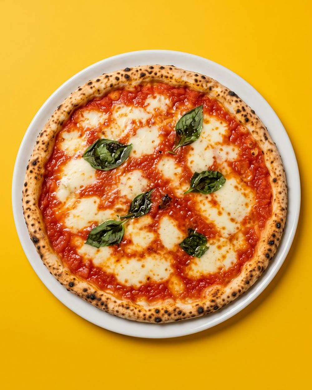 Pizza margherita
